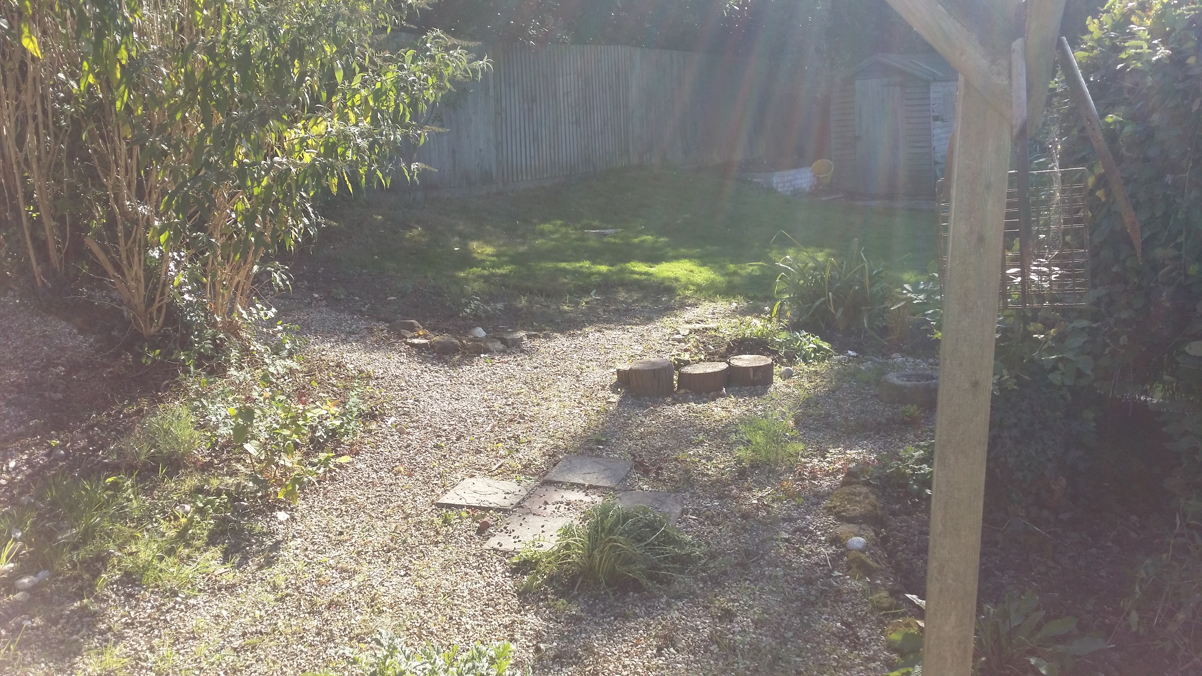 weeded2